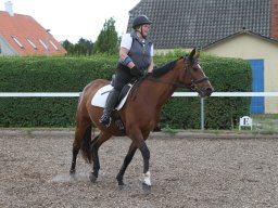 IMG_4795_web